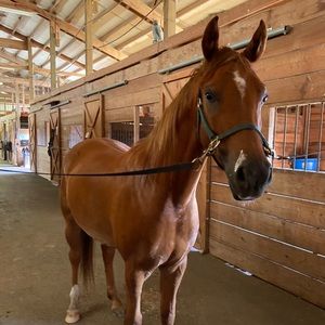 Meet your Posher, Teagen